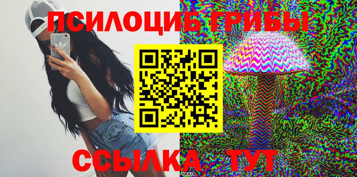 Псилоцибиновые грибы Psilocybine cubensis Стрежевой